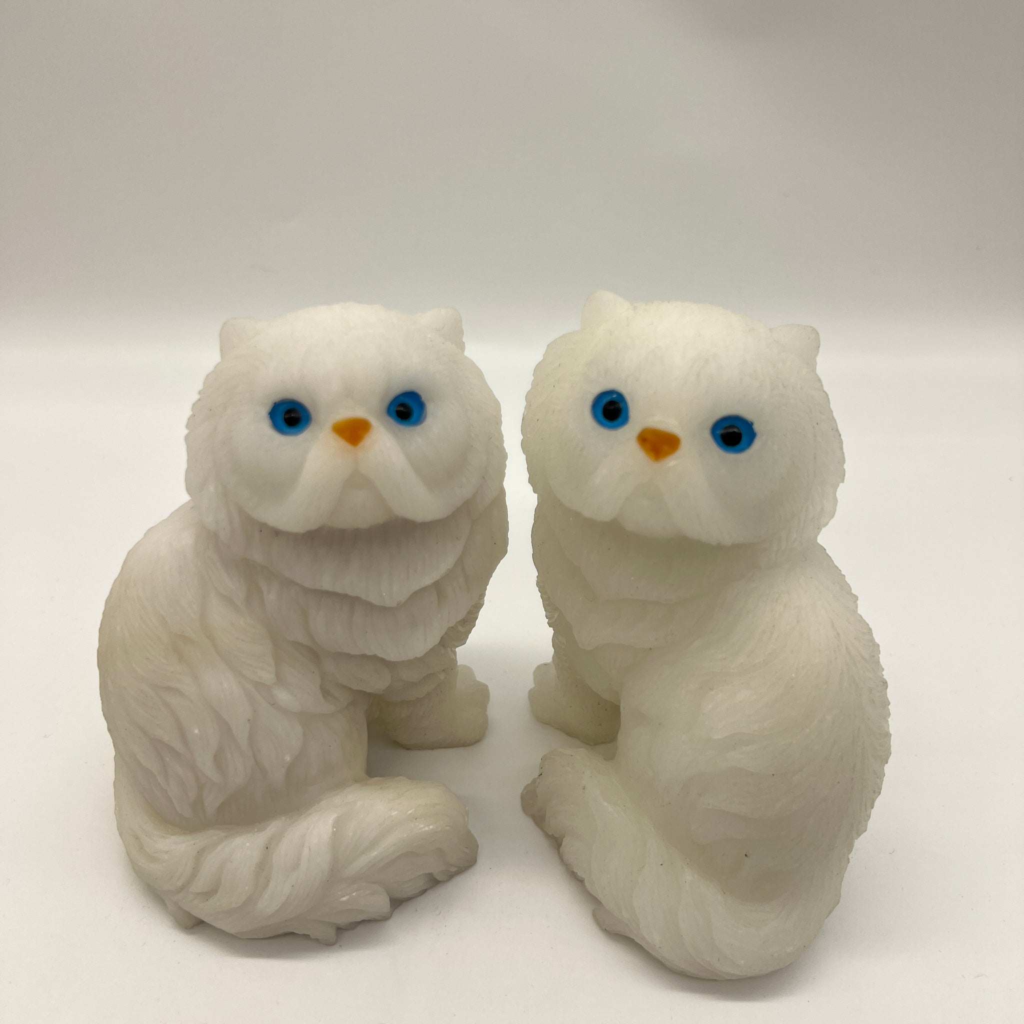 M-【Two white Cats Sisters】Claim before order